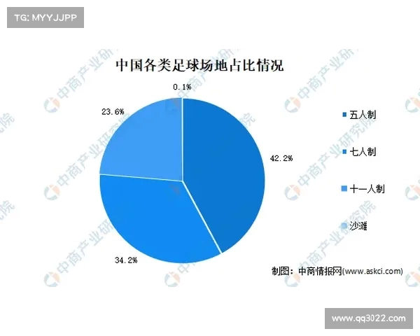 足球球员转会市场现状与未来发展趋势综合分析报告
