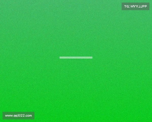 欧冠裁判组如何确保公平判罚及其背后的严格选拔机制解析